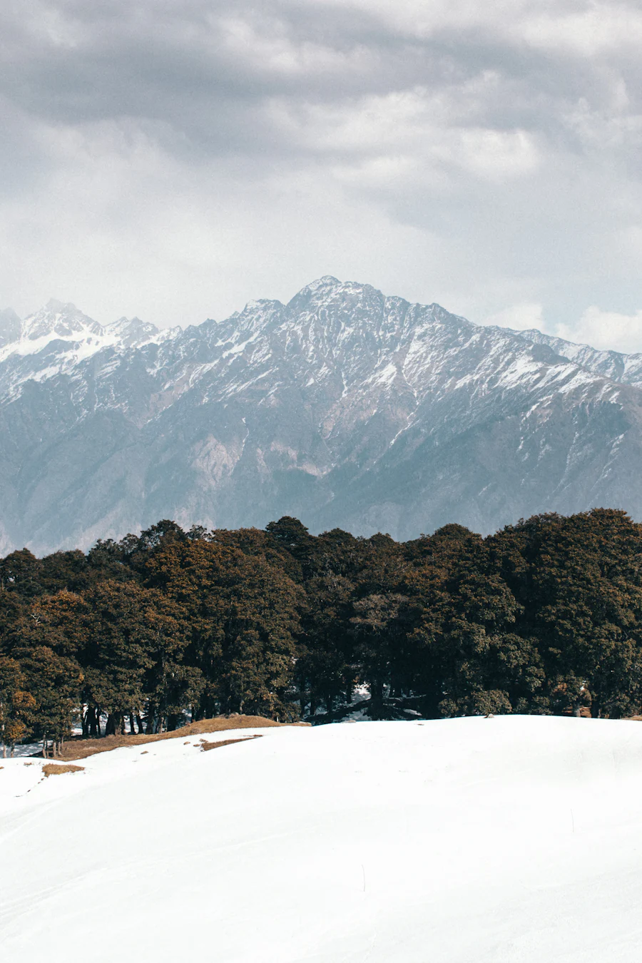 Auli, Uttarakhand sample photo 9