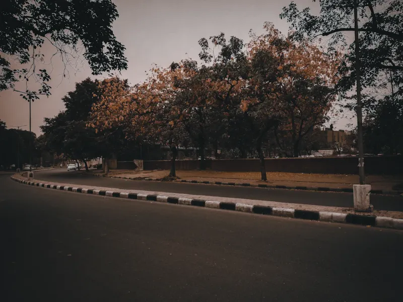 A leafy Chandigarh avenue, Chandigarh, Chandigarh