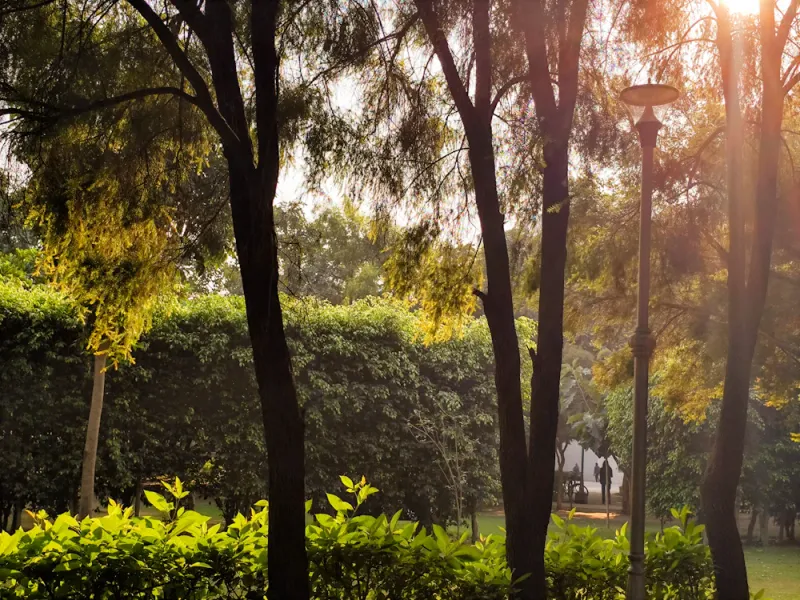 Sunlight through the gardens, Chandigarh, Chandigarh