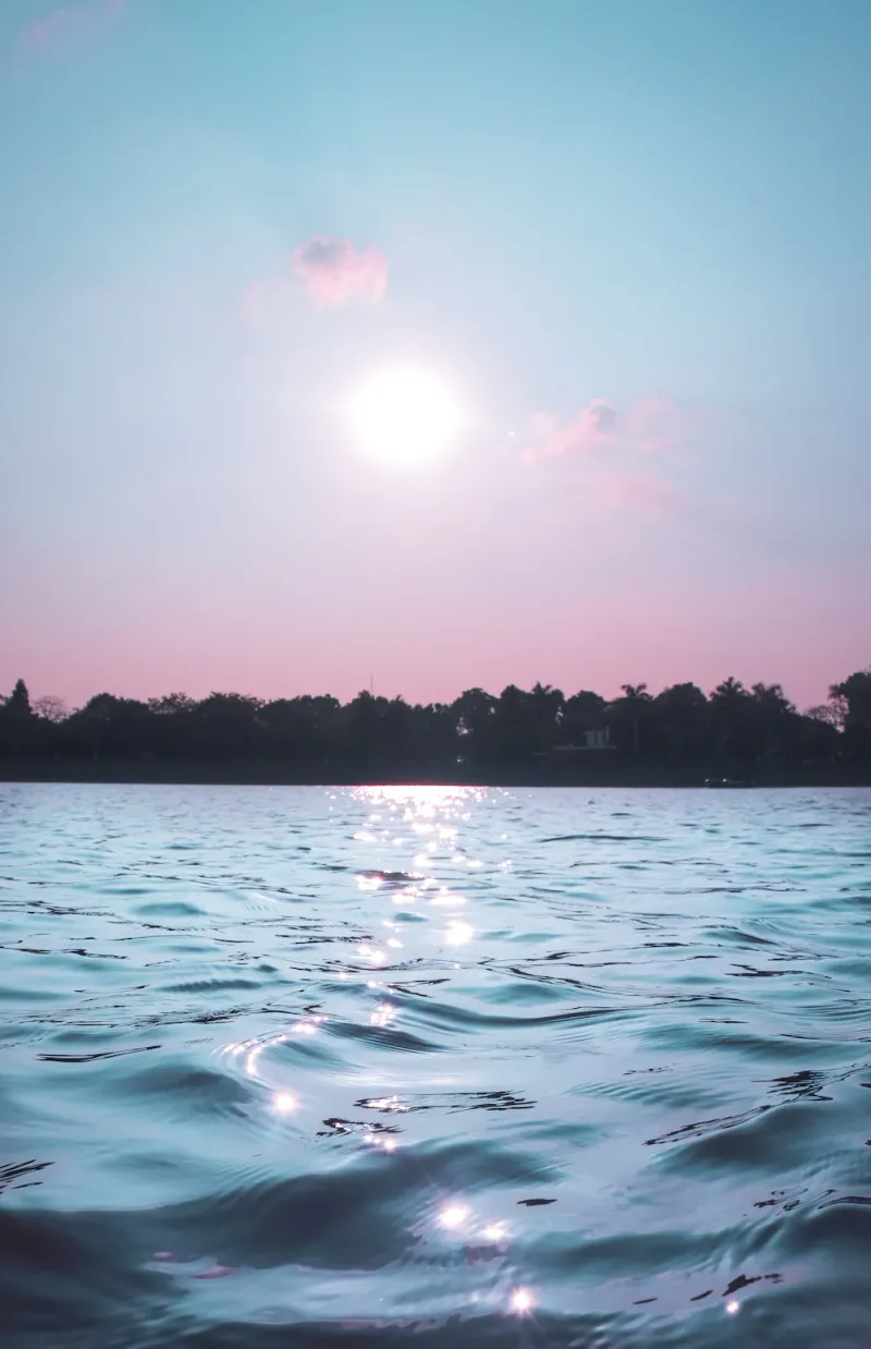 Evening light on Sukhna Lake, Chandigarh, Chandigarh