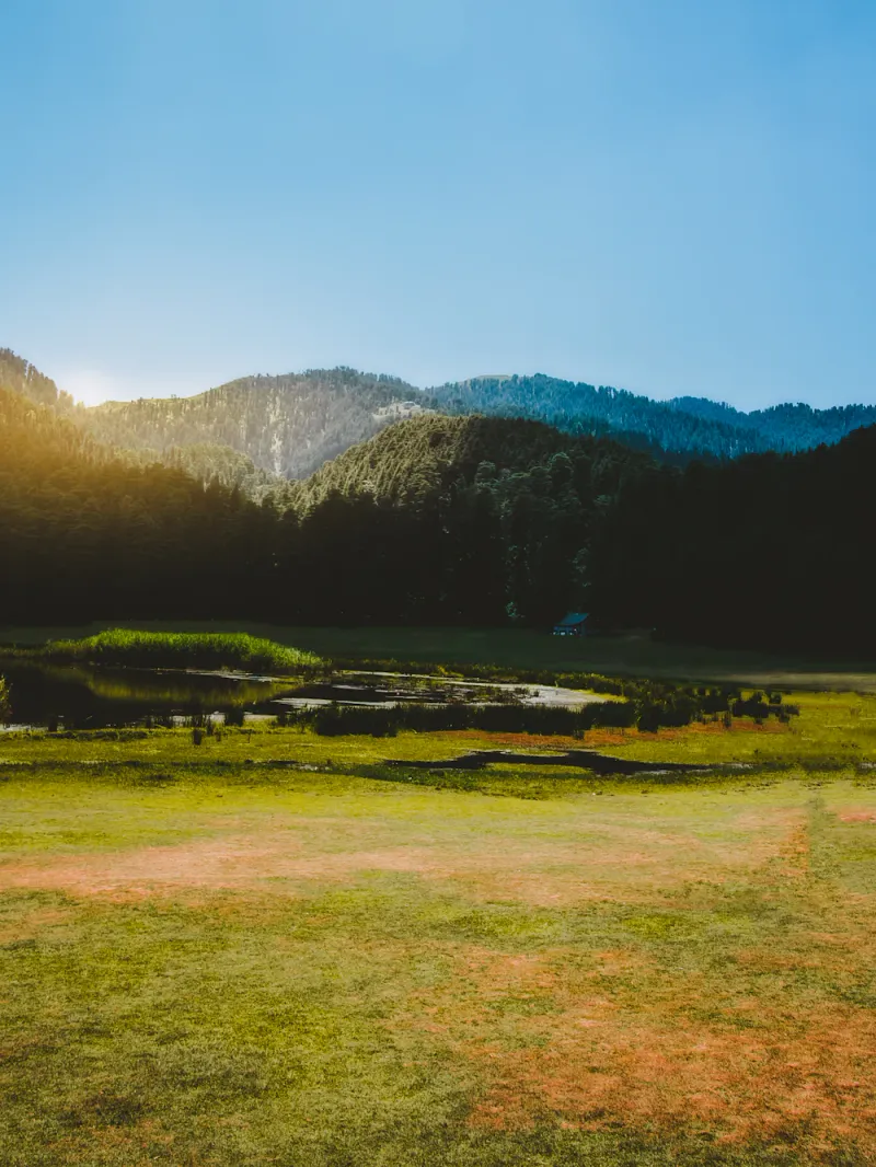 Golden light over Khajjiar, Dalhousie, Himachal Pradesh