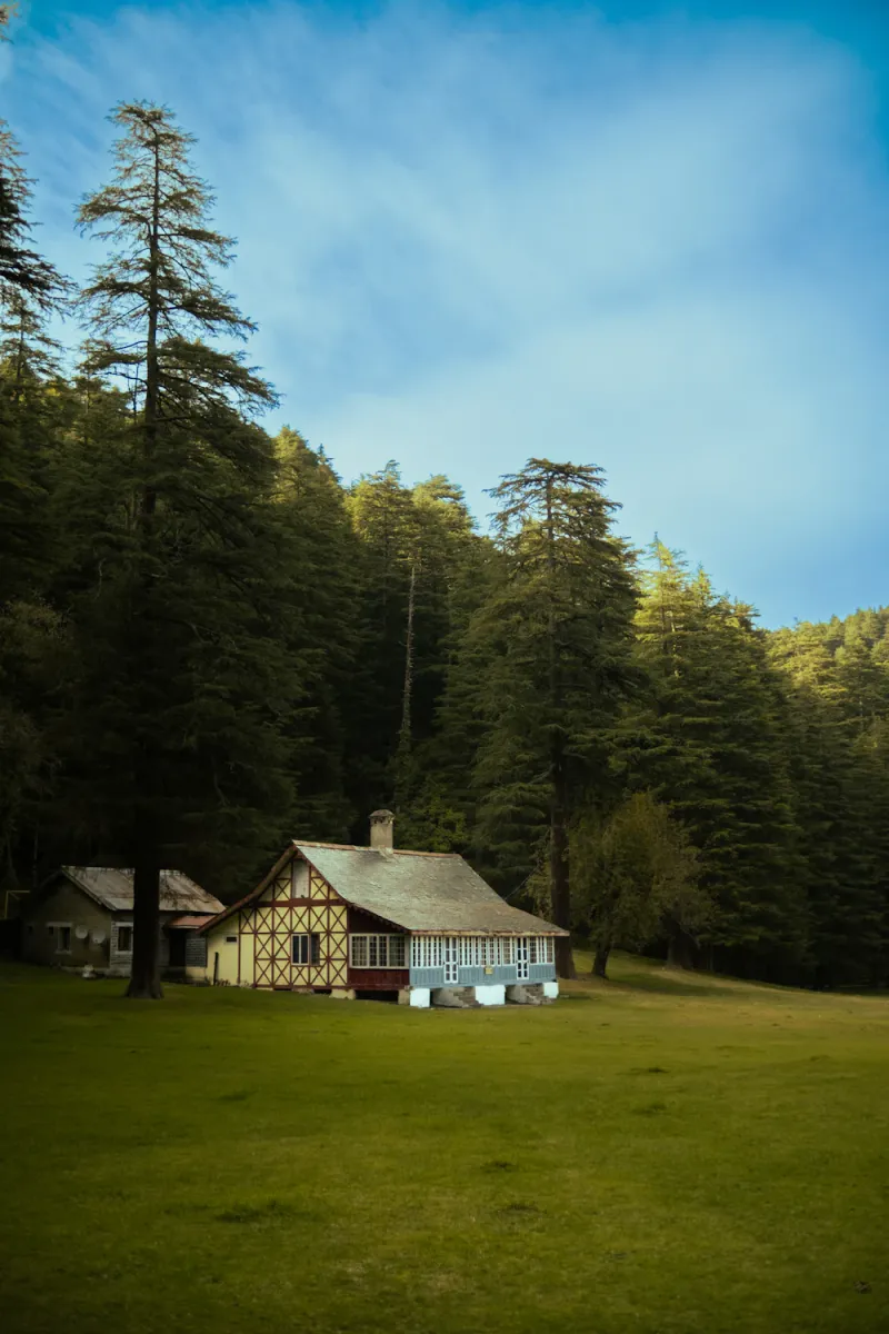 A cottage among the pines, Dalhousie, Himachal Pradesh