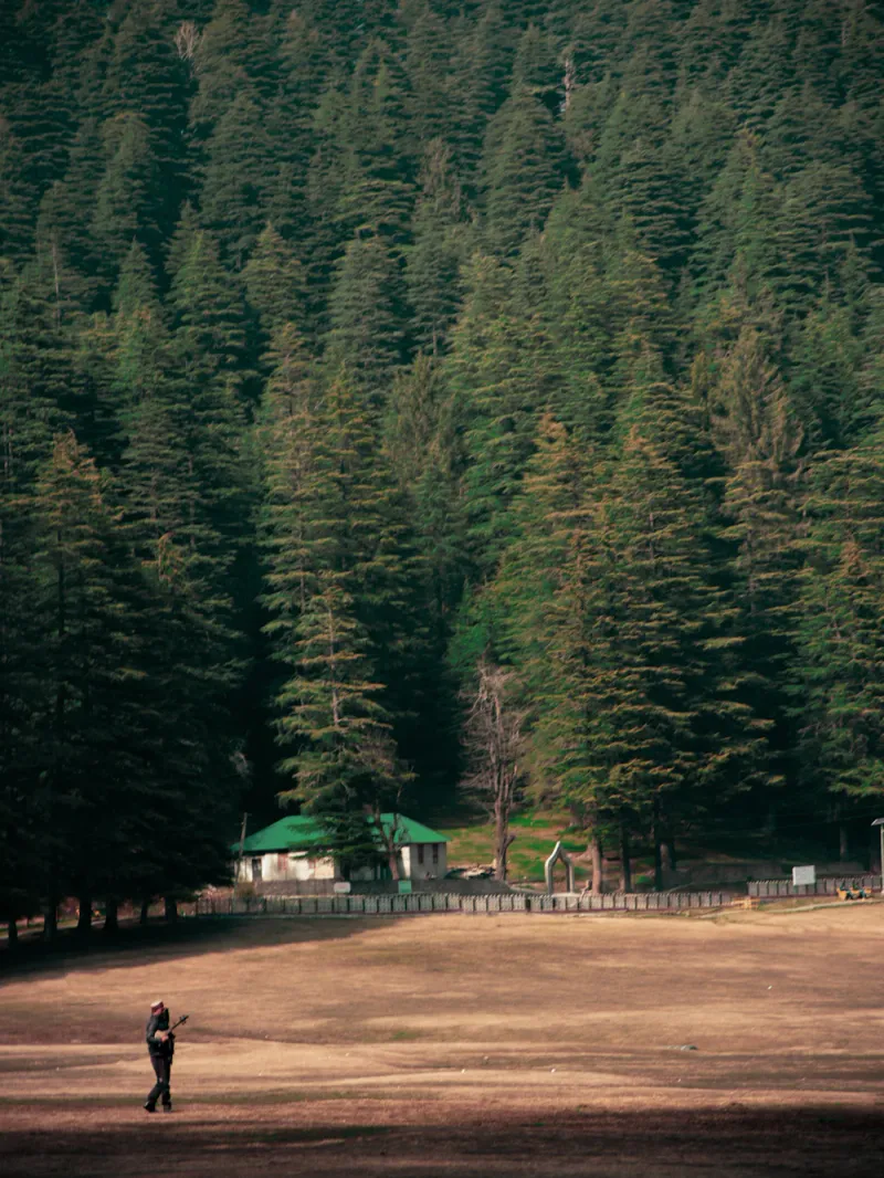 A quiet walk on the meadow, Dalhousie, Himachal Pradesh