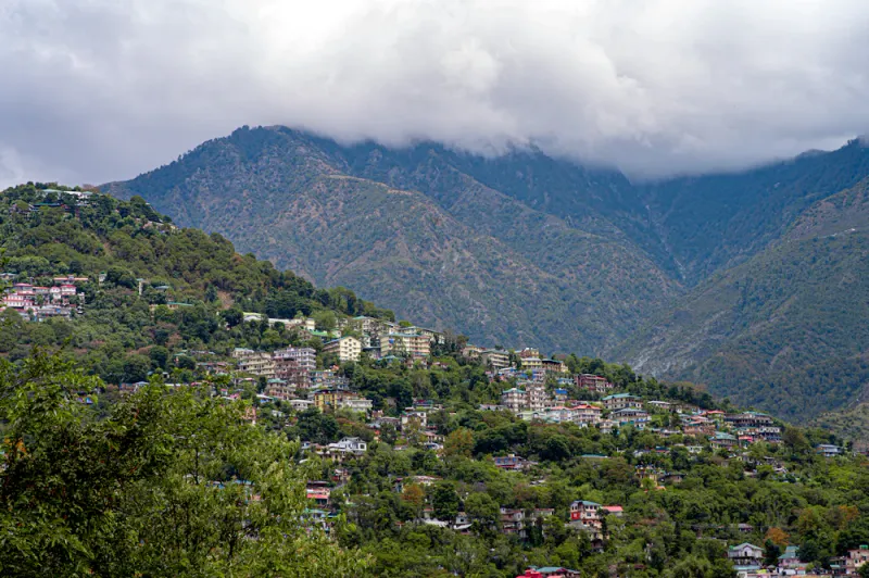 McLeod Ganj hillside, Dharamshala, Himachal Pradesh