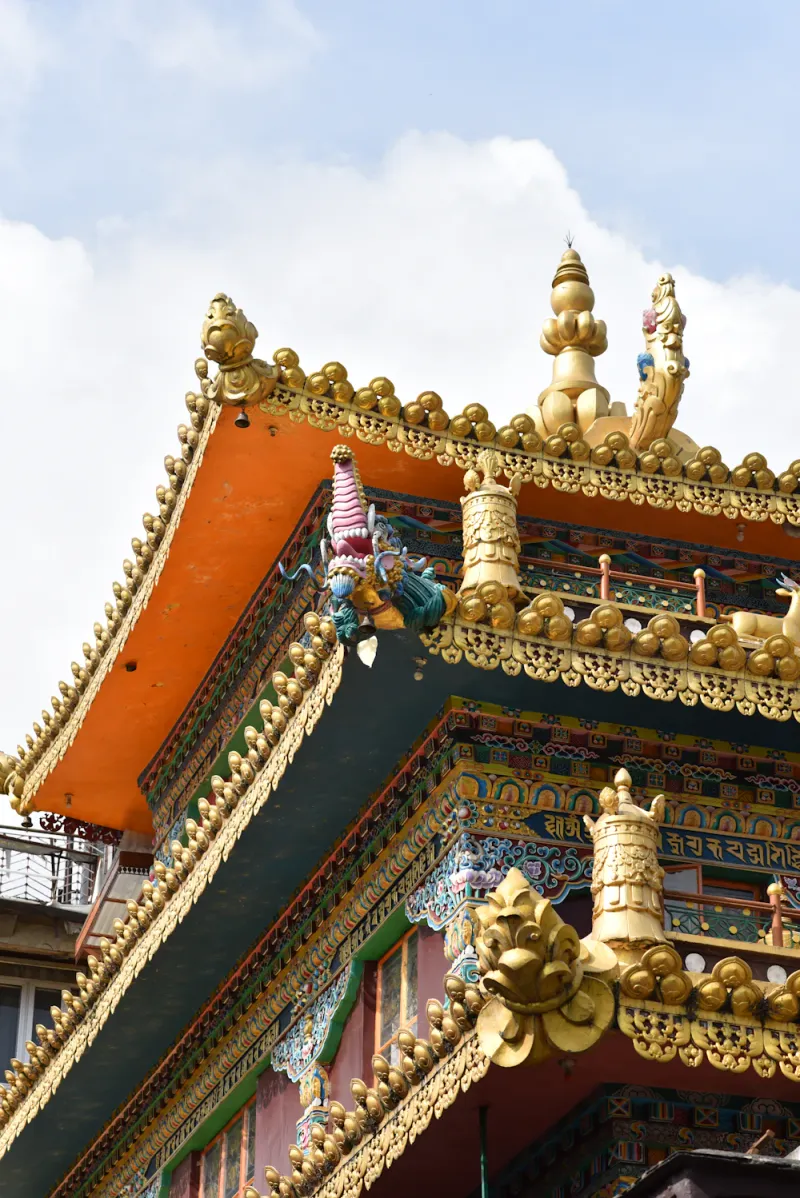 Namgyal Monastery rooftop, Dharamshala, Himachal Pradesh