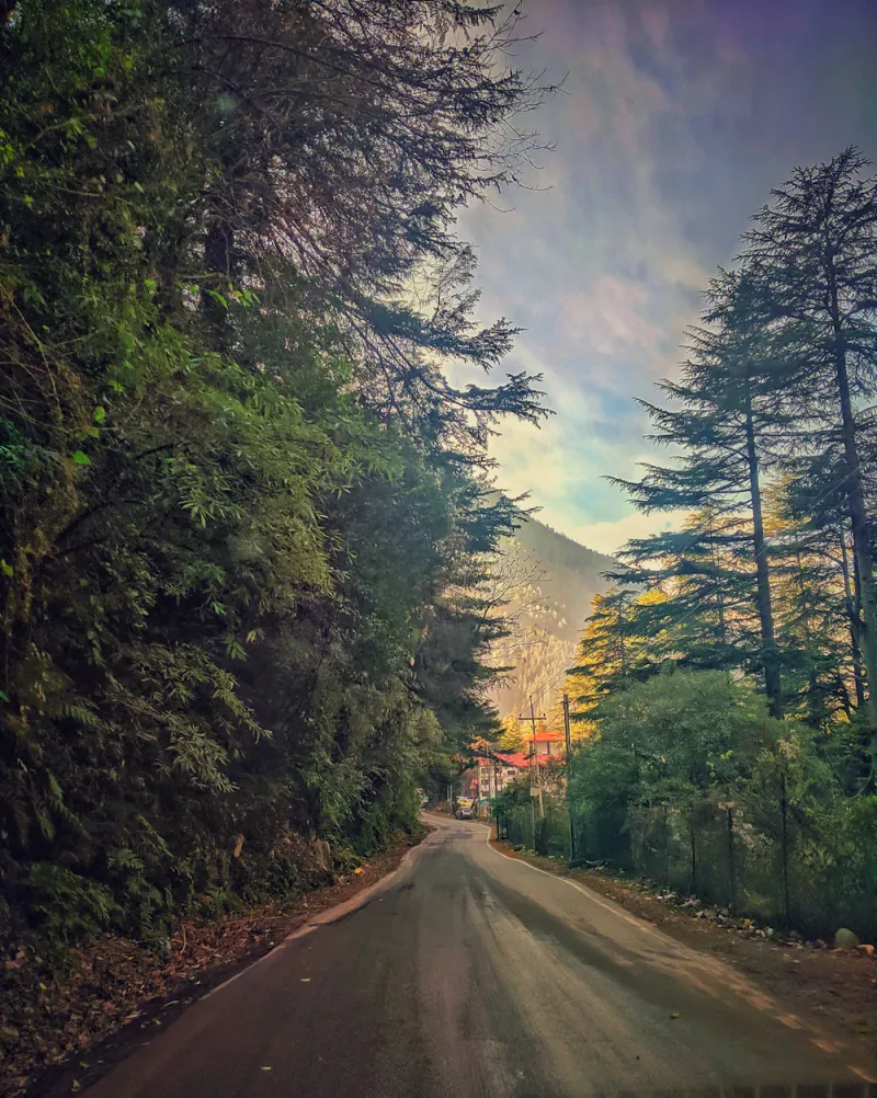 The forest road into Jibhi, Jibhi, Himachal Pradesh
