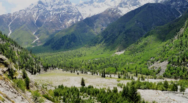 The green Banjar Valley, Jibhi, Himachal Pradesh