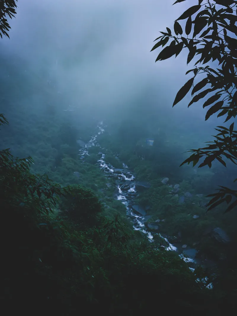 A misty forest stream, Jibhi, Himachal Pradesh