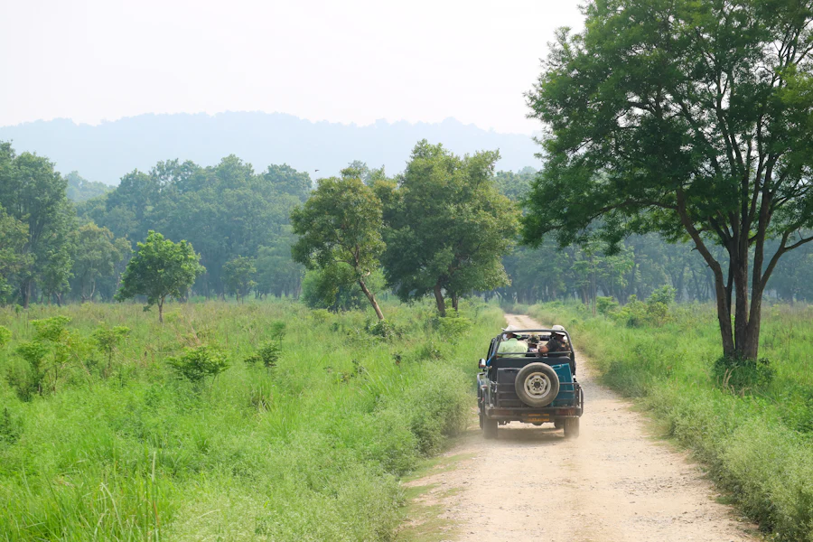 Jim Corbett, Uttarakhand sample photo 4