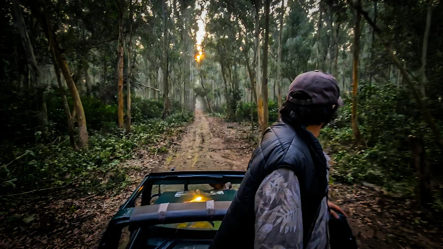 Jim Corbett, Uttarakhand sample photo 6