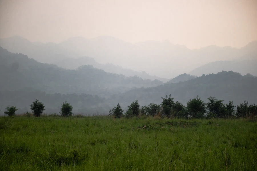 Jim Corbett, Uttarakhand sample photo 7