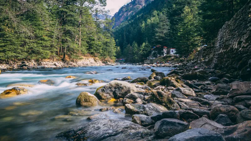 Riverside boulders and pines, Kasol, Himachal Pradesh