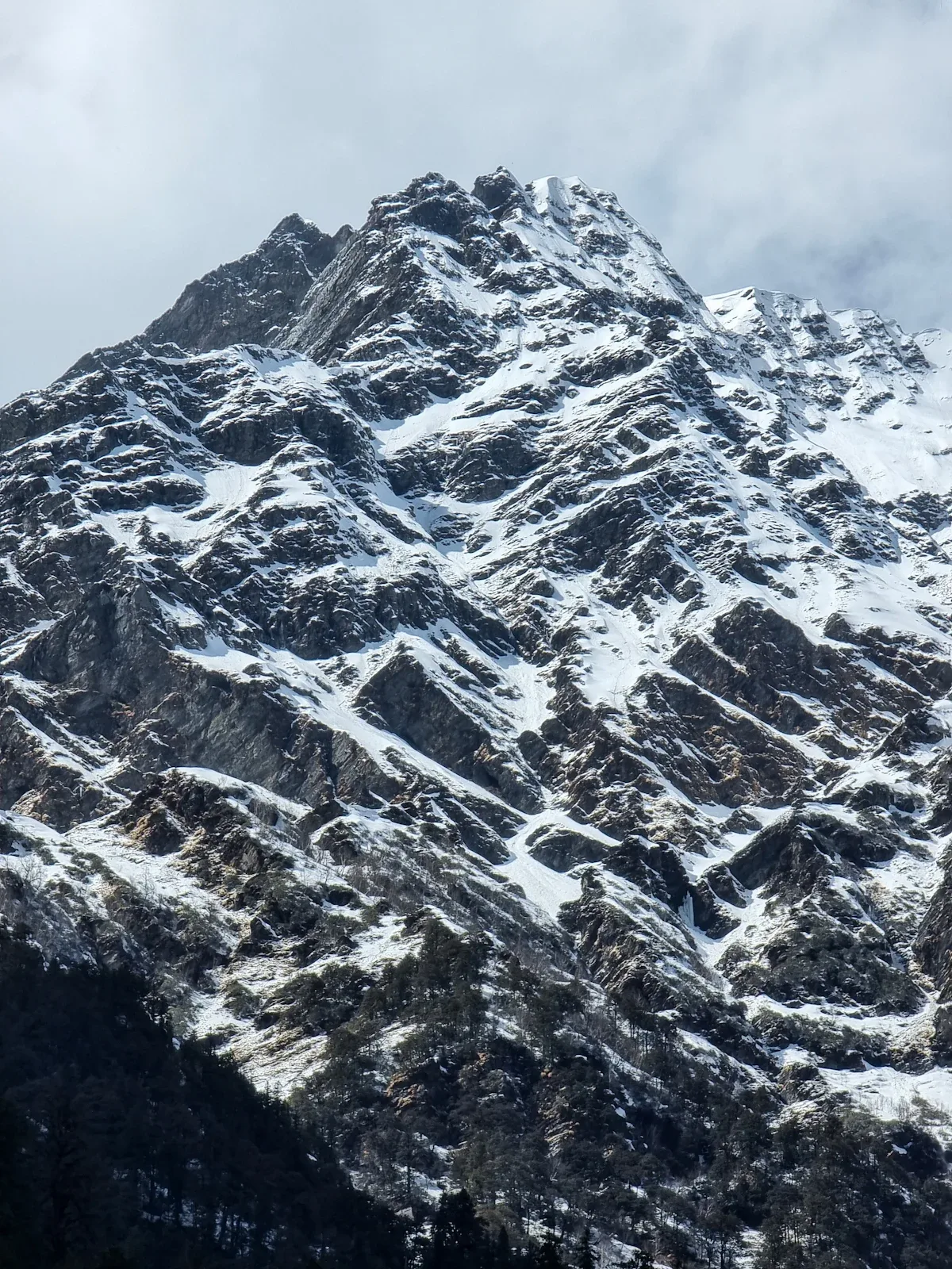 Manali, Himachal Pradesh