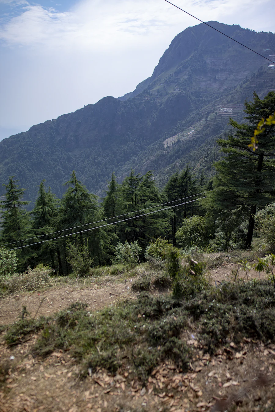 Mussoorie, Uttarakhand sample photo 6