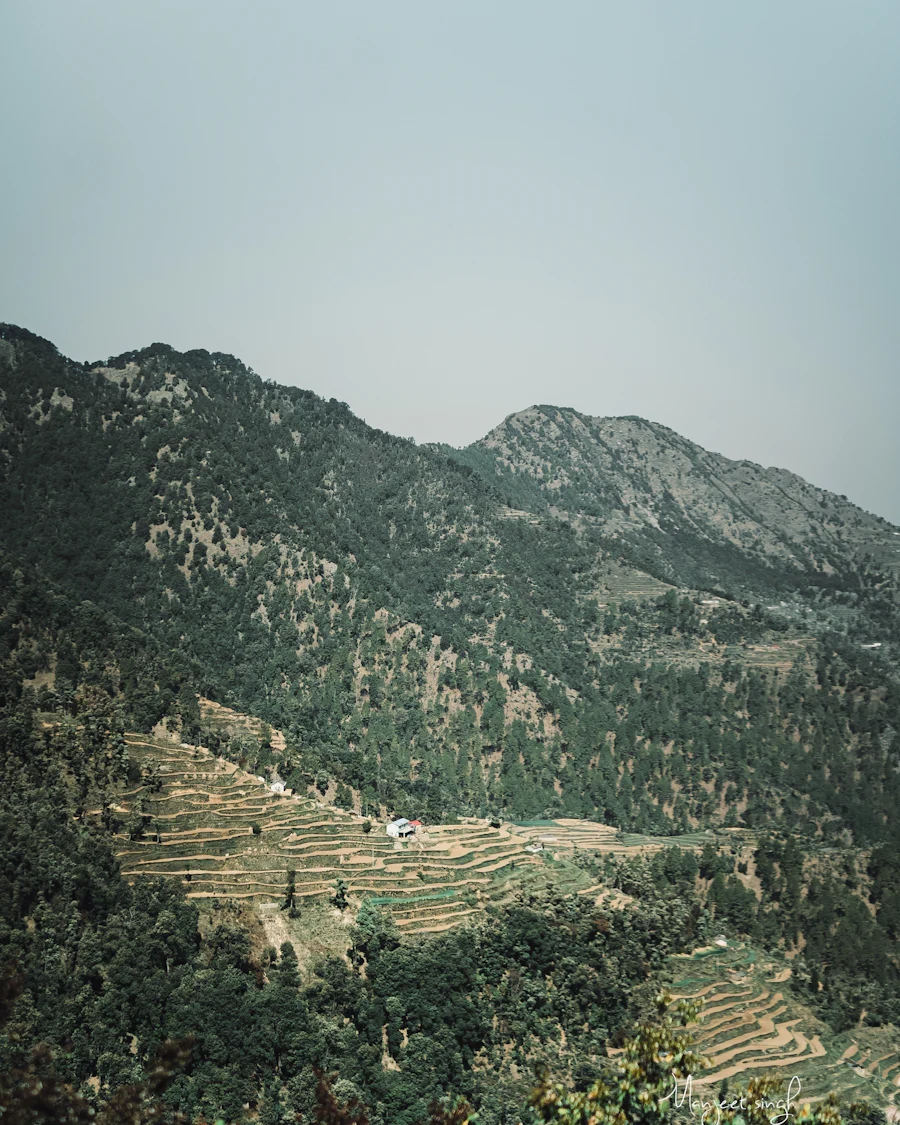 Mussoorie, Uttarakhand sample photo 10
