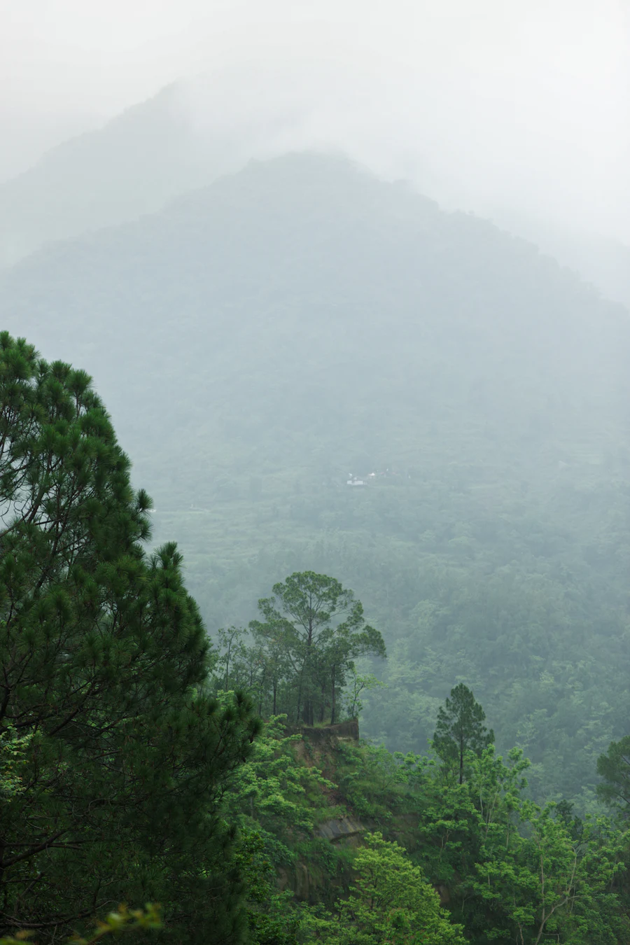 Mussoorie, Uttarakhand sample photo 12