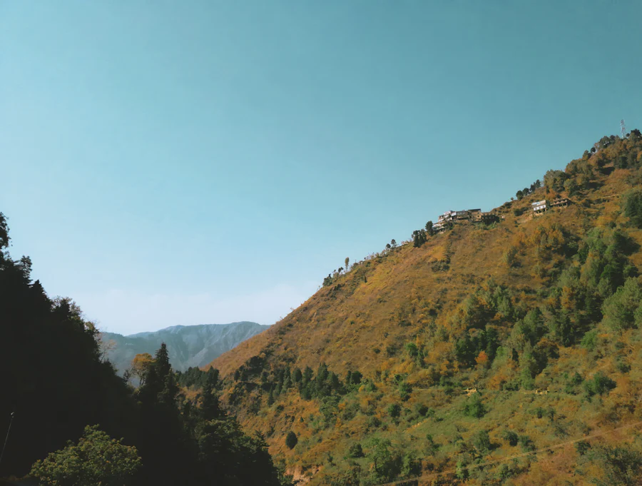 Rishikesh, Uttarakhand sample photo 5