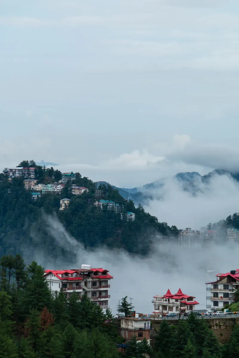 Misty morning over the hills, Shimla, Himachal Pradesh