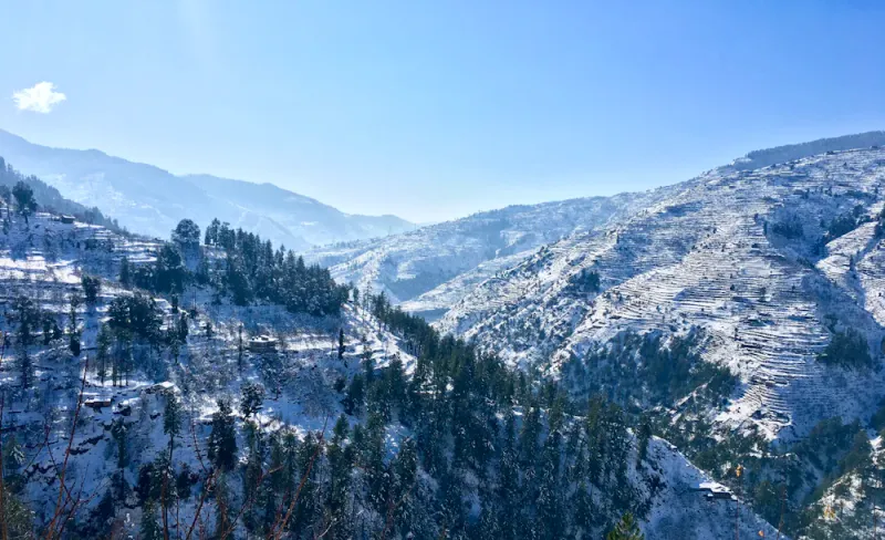 Snowy slopes near town, Shimla, Himachal Pradesh