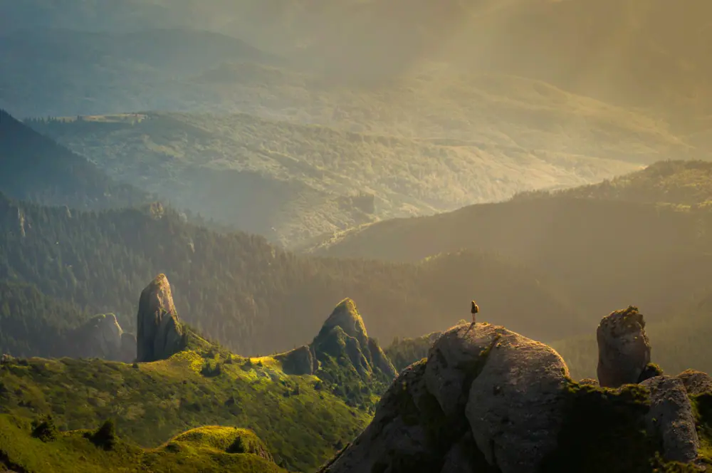 Golden light over the hills